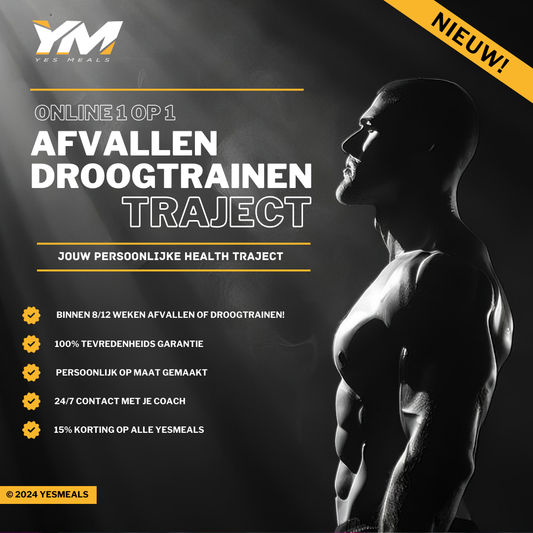 ONLINE 1 OP 1 AFVALLEN/DROOG TRAINEN TRAJECT